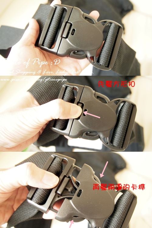派普小姐 派普小姐