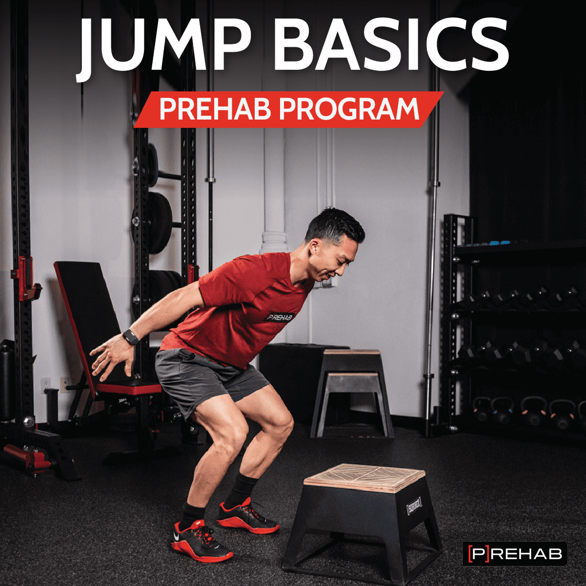 Jump Fundamentals & Plyometrics Bundle
