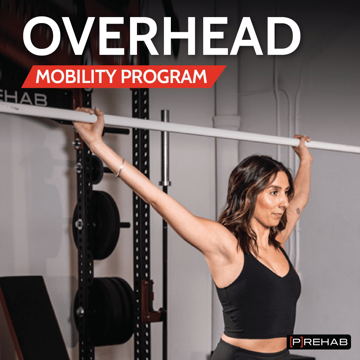 OVERHEAD MOBILITY OVERHAUL