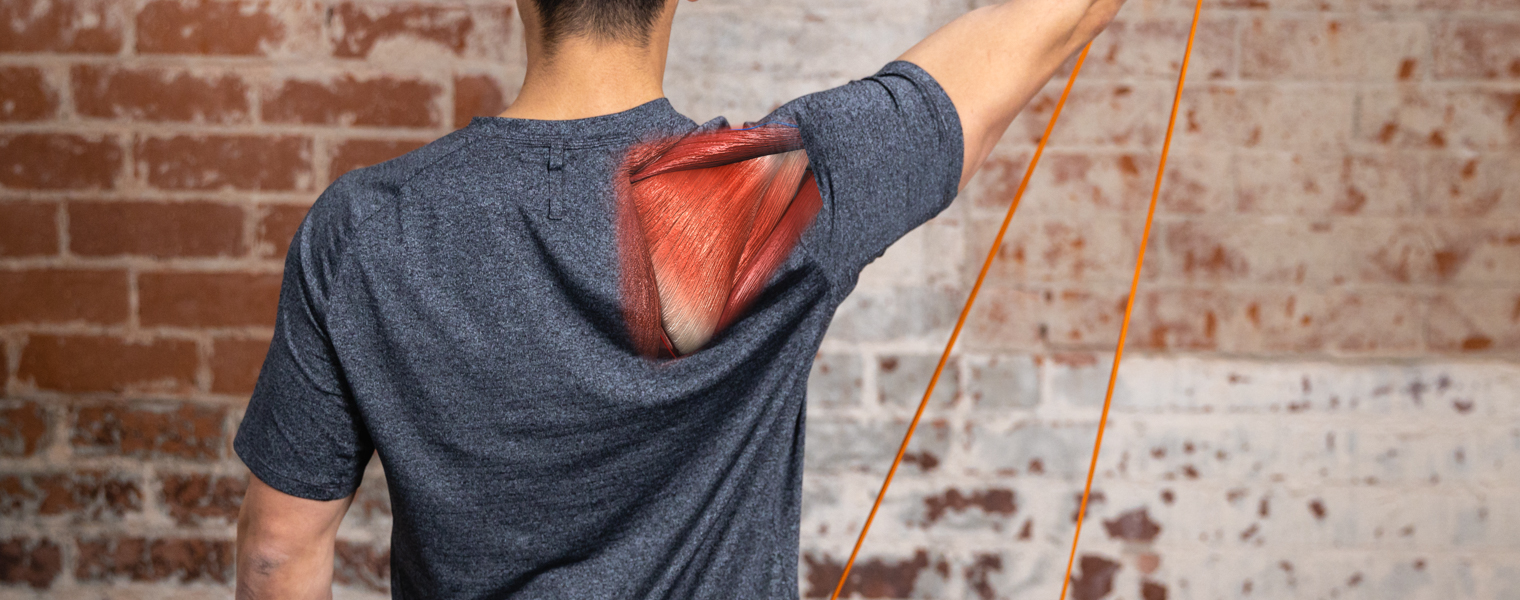 Rotator Cuff [P]rehab Program