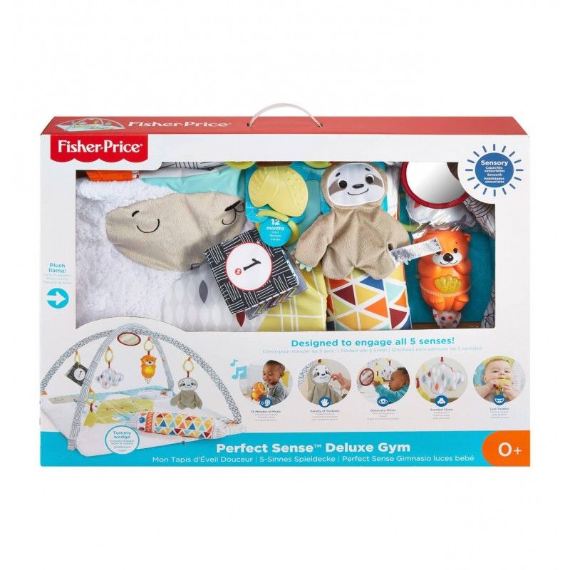 Fisher-price deluxe γυμναστήριο - perfect sense gkd45 - Fisher-Price