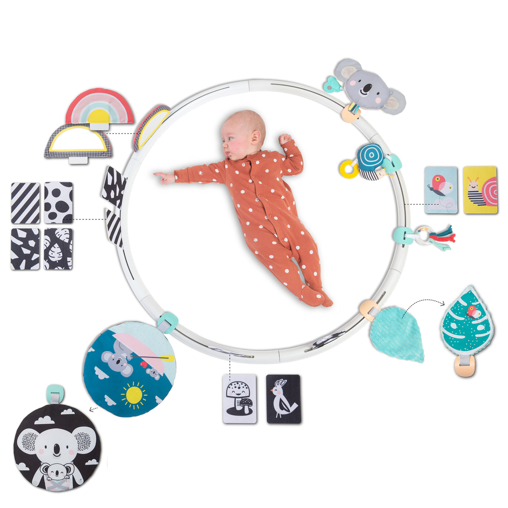 Taf toys all around me activity hoop t-12555 - Taf-toys