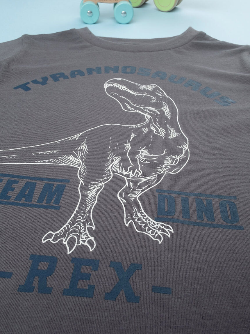 T-shirt bimbo gray "dinosauro" - Prénatal