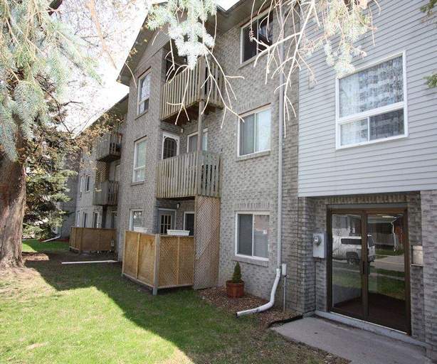 Photo of Buena Vista Property Image