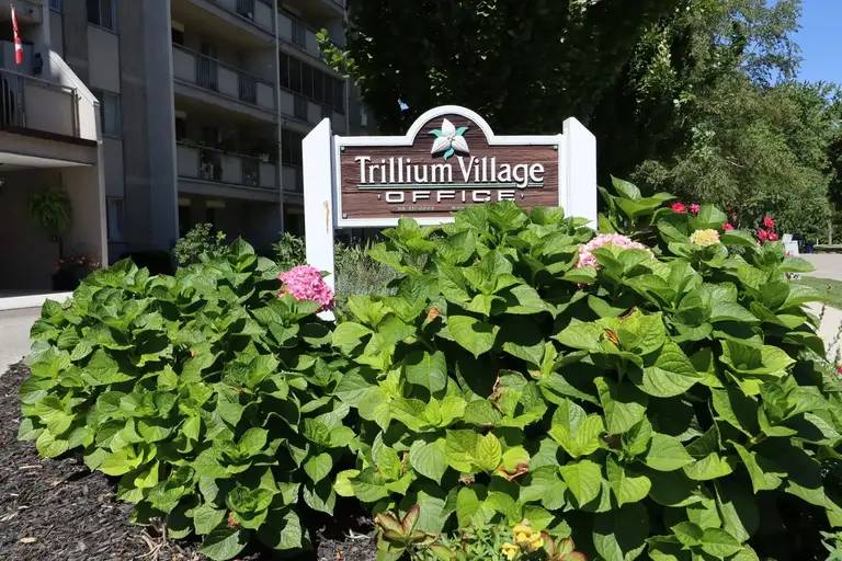 Photo of Trillium Village Property Image