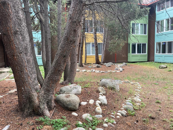Photo of Cavell Apartments Property Image