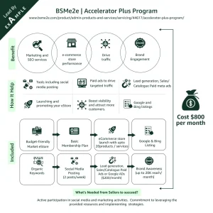 Accelerator+ Program: ecommerce Store Growth Solutions