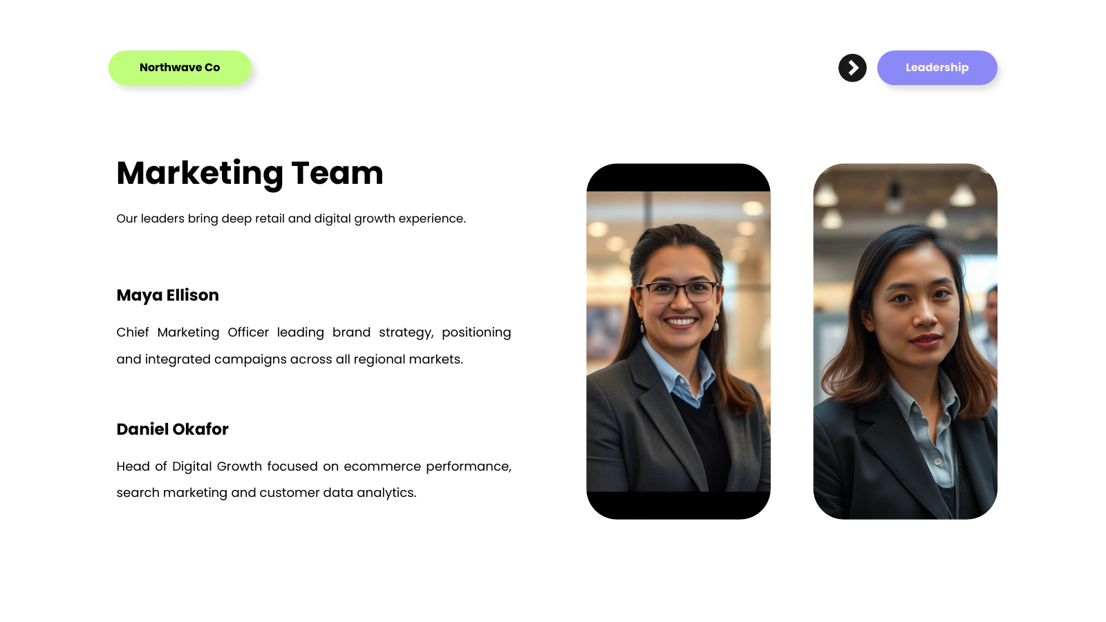 Expert Team Profiles