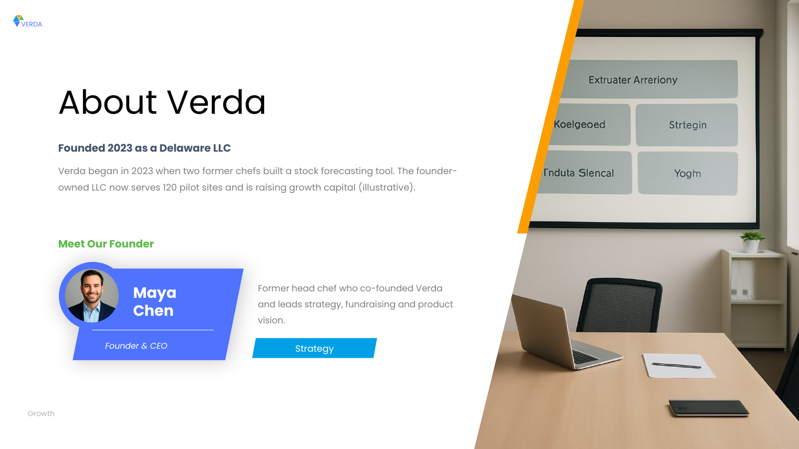 Company Overview with Leader Profile