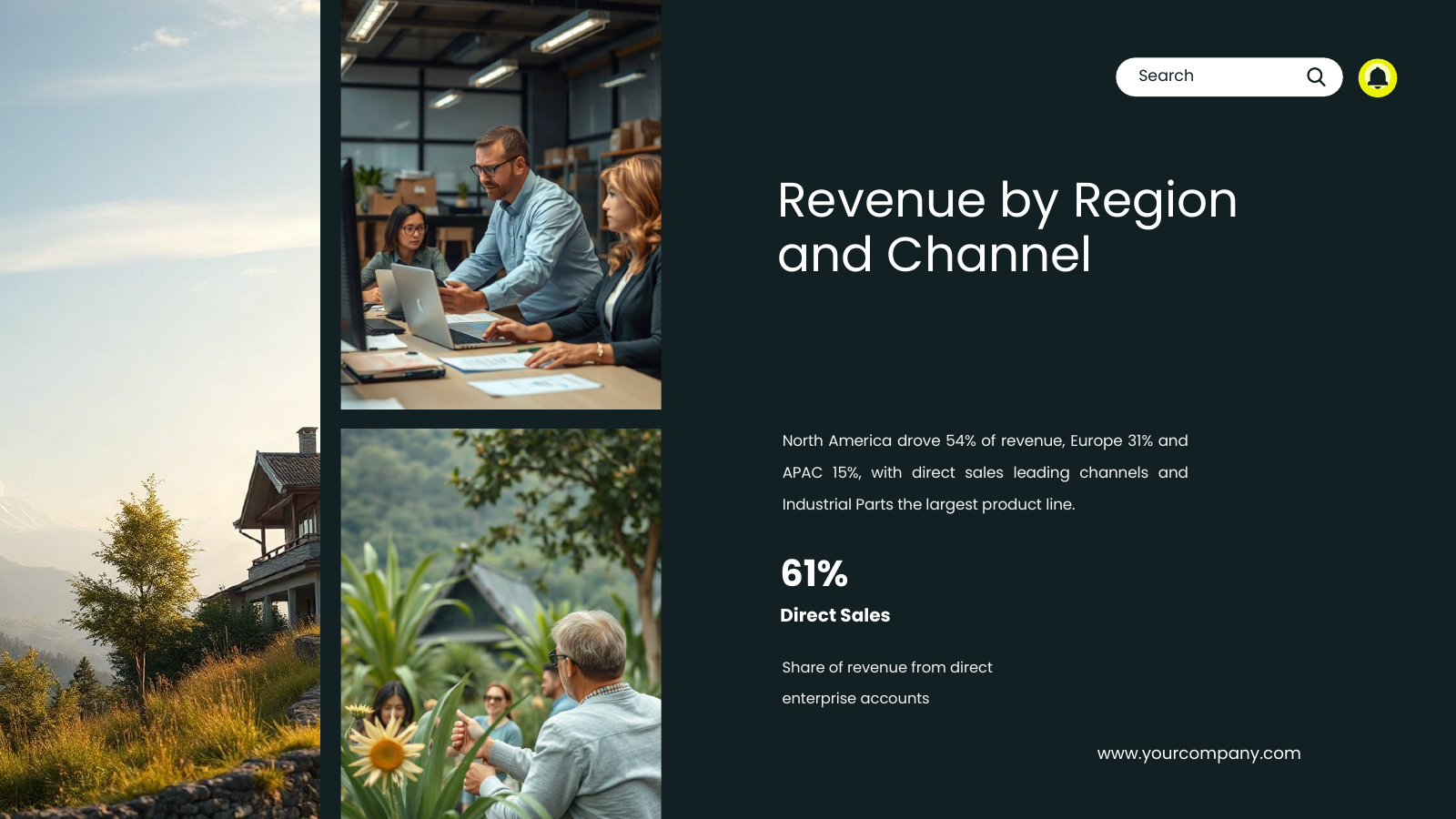Revenue Breakdown and Drivers