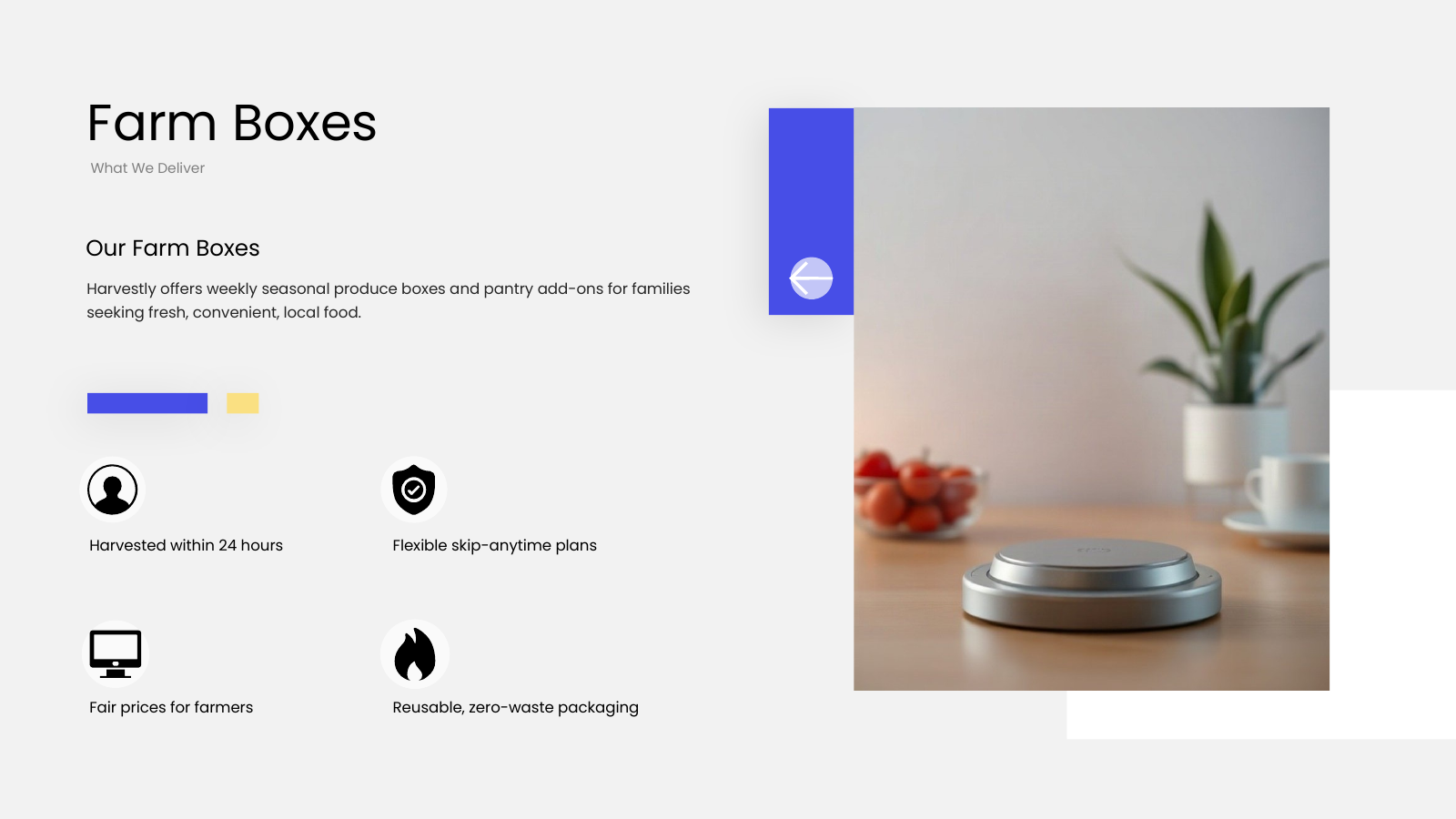 Products and Services Overview