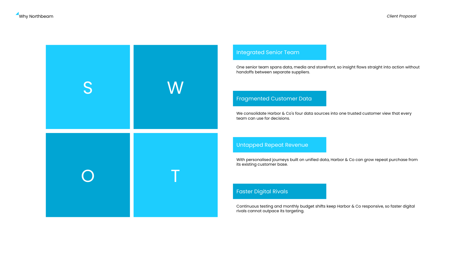 Differentiators SWOT Grid