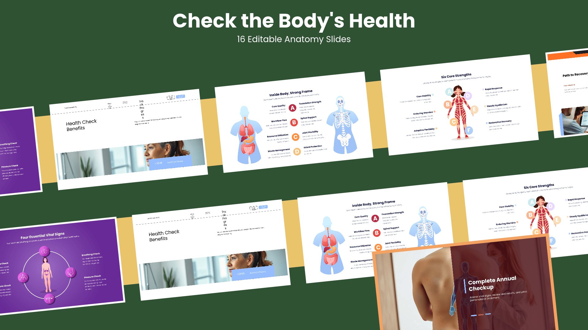Anatomy Health Check Deck PowerPoint template with 16 editable white and purple slides for anatomy and health checks by Presentify