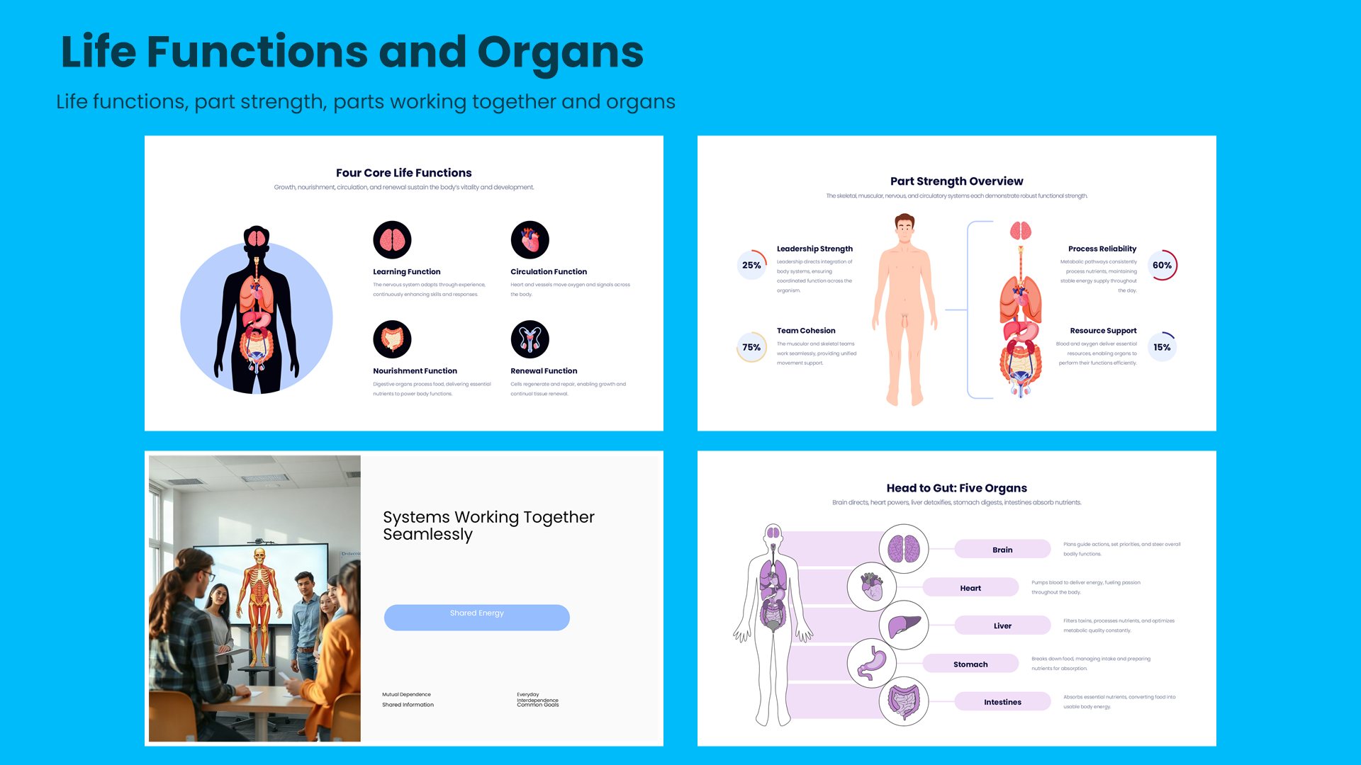 Four anatomy slides covering life functions, part strength, parts working together and organs