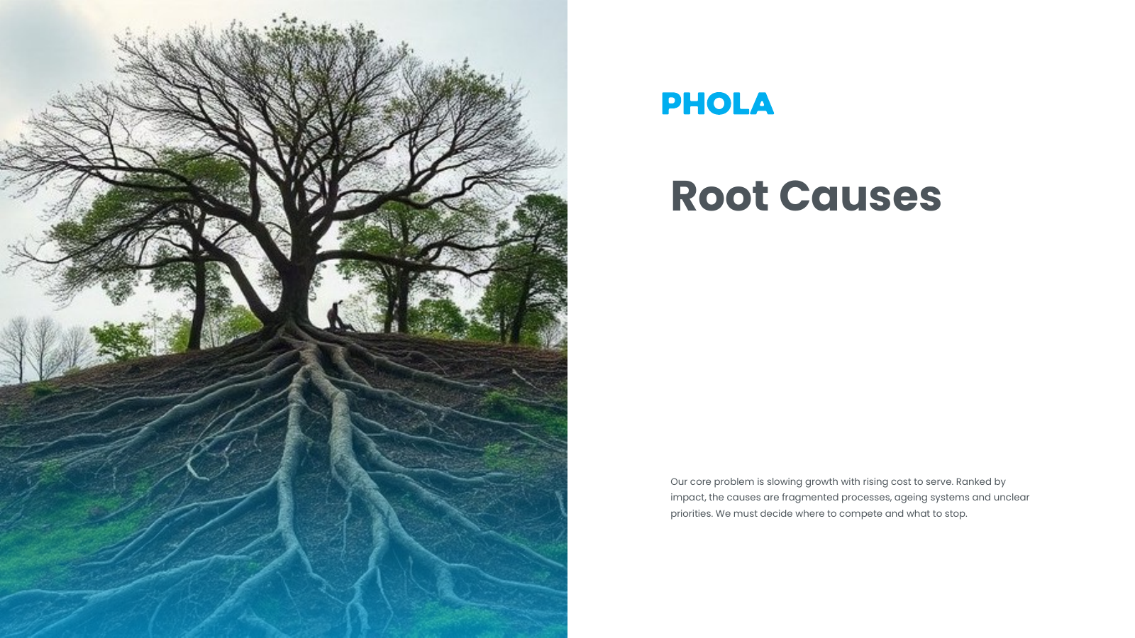 Problem and Root Causes Section
