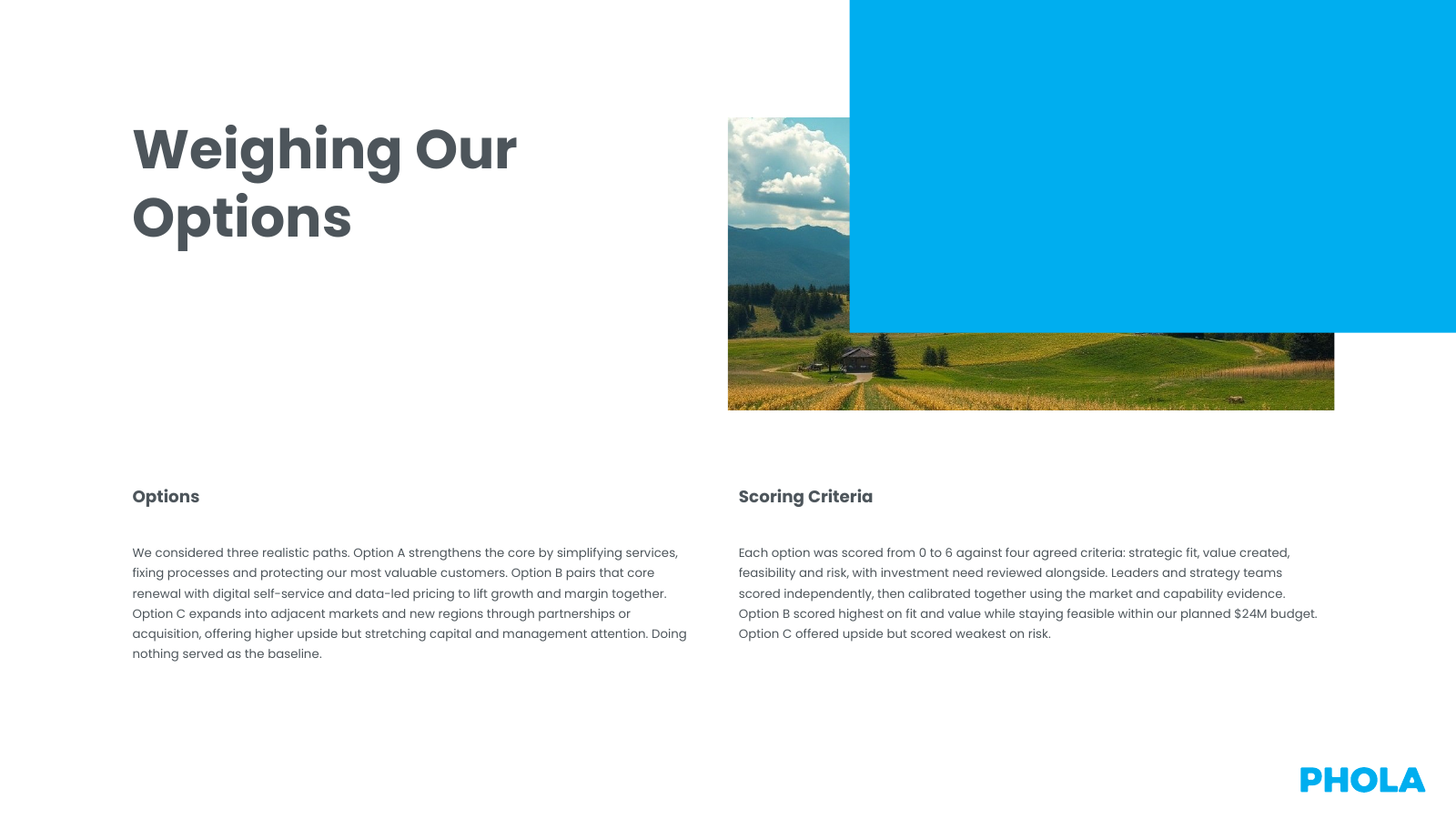 Strategic Options Evaluation