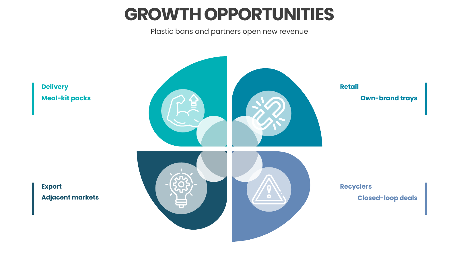 External Growth Opportunities