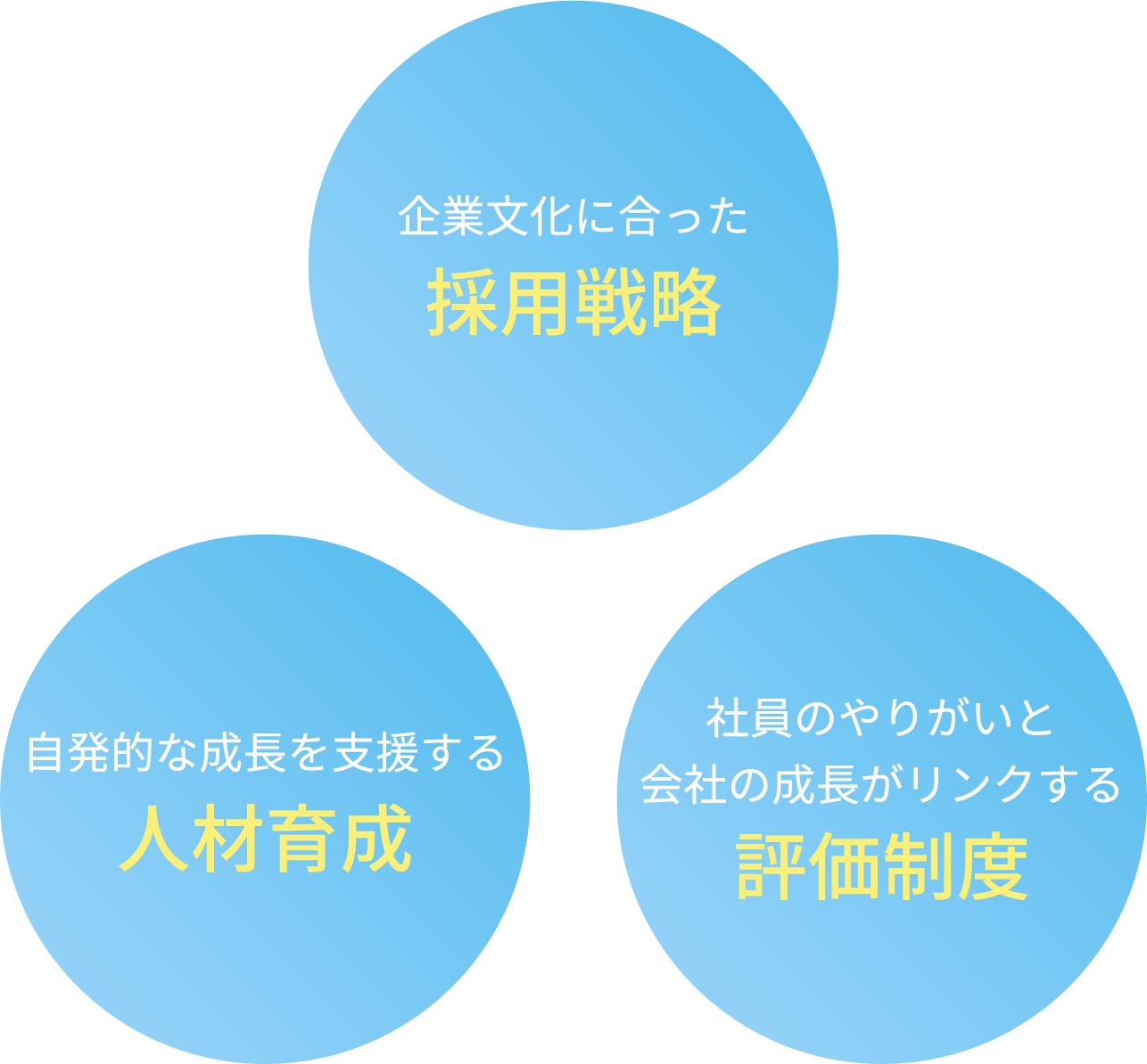 採用戦略、人材育成、評価制度