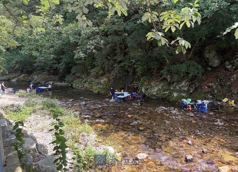 춘천시는 하천·계곡 내 원상회복 미이행 업소 20곳을 대상으로 행정대집행 계고서를 통보하고 여름 휴가철 불법 상행위 단속을 강화한다. (강원 춘천시 제공)