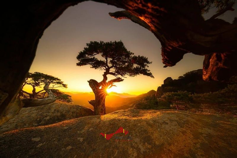 살면서 알게되는 것