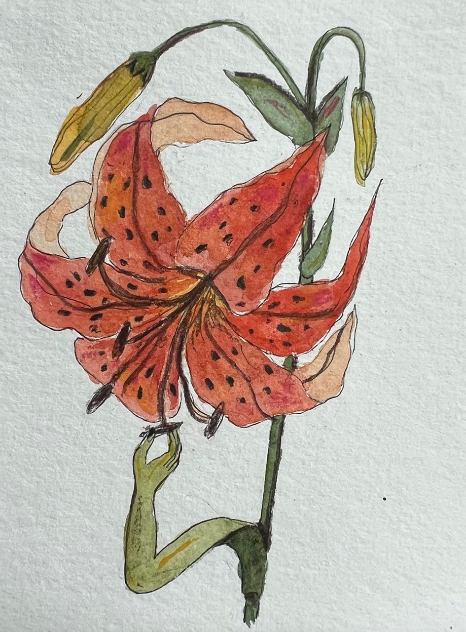 Cócegas em Lírios , 2023 | aquarela e caneta em papel 10 x 8 cm