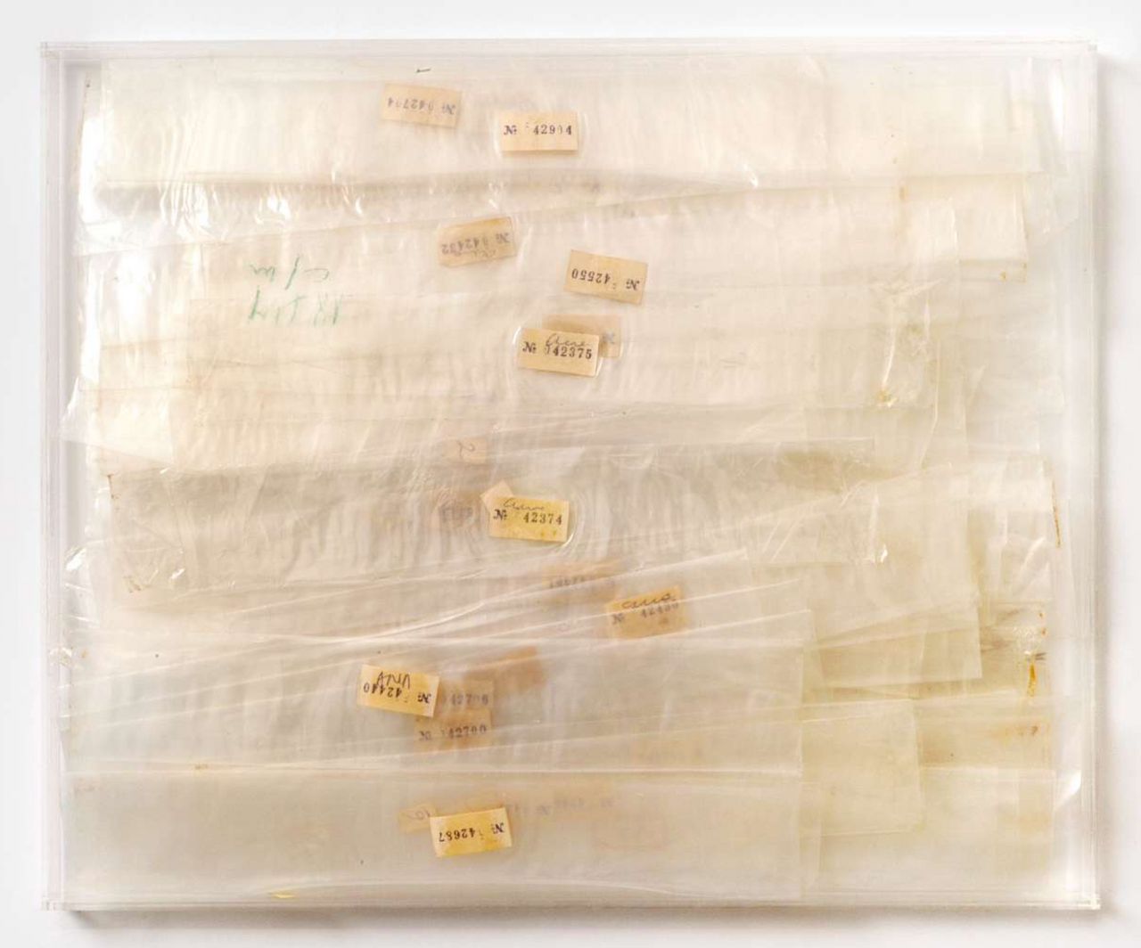 Índice #2, 1978 | porta negativos com anotacoes e caixa de acrilico / negative holder with notes and acrylic 35 x 28 cm