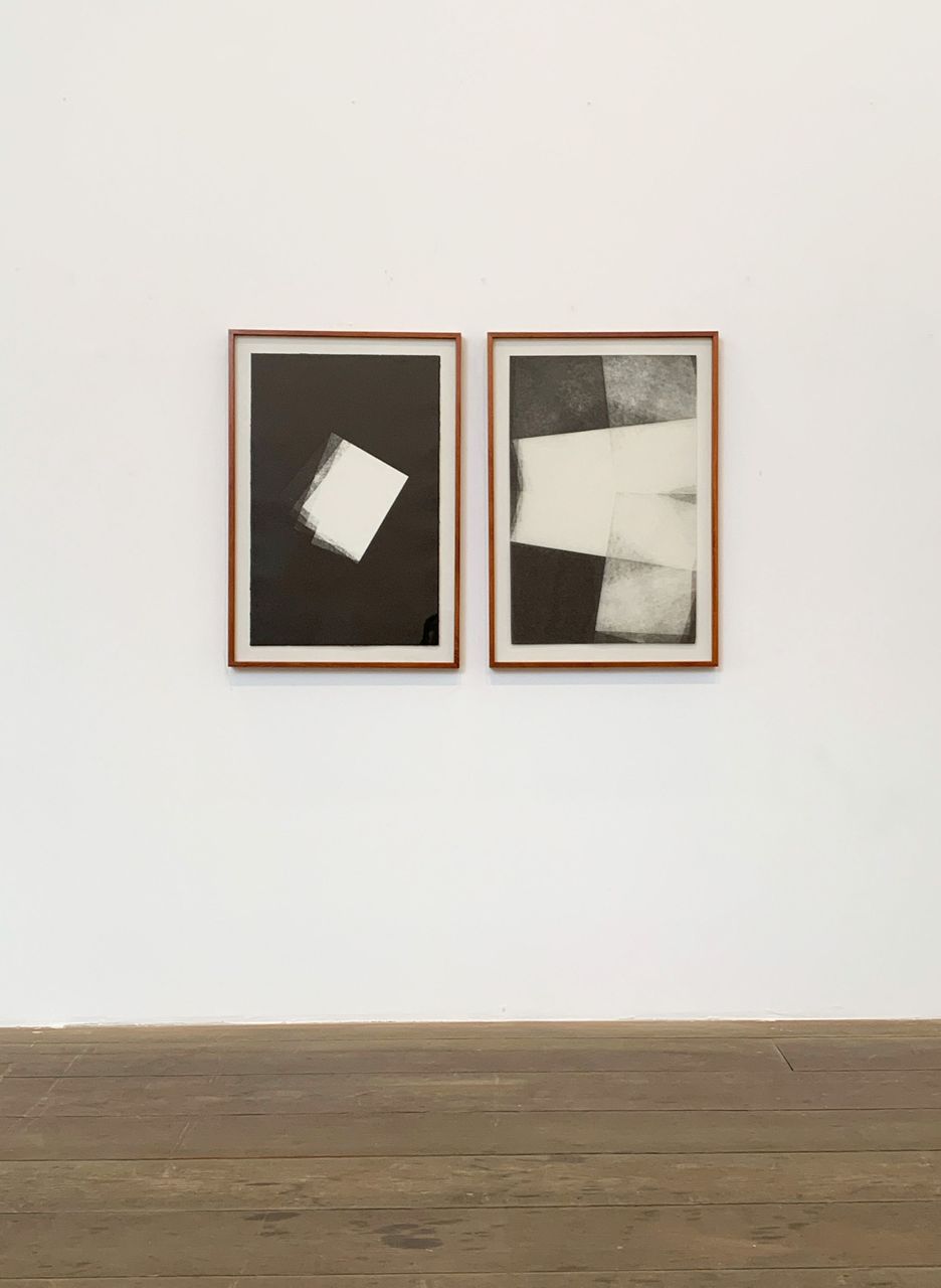 Dobra , 2015/2016 | Monotipia sobre papel de algodão e monotipia sobre papel japonês / monotype on cotton paper and monotype on Japanese paper 60 x 85.5 cm