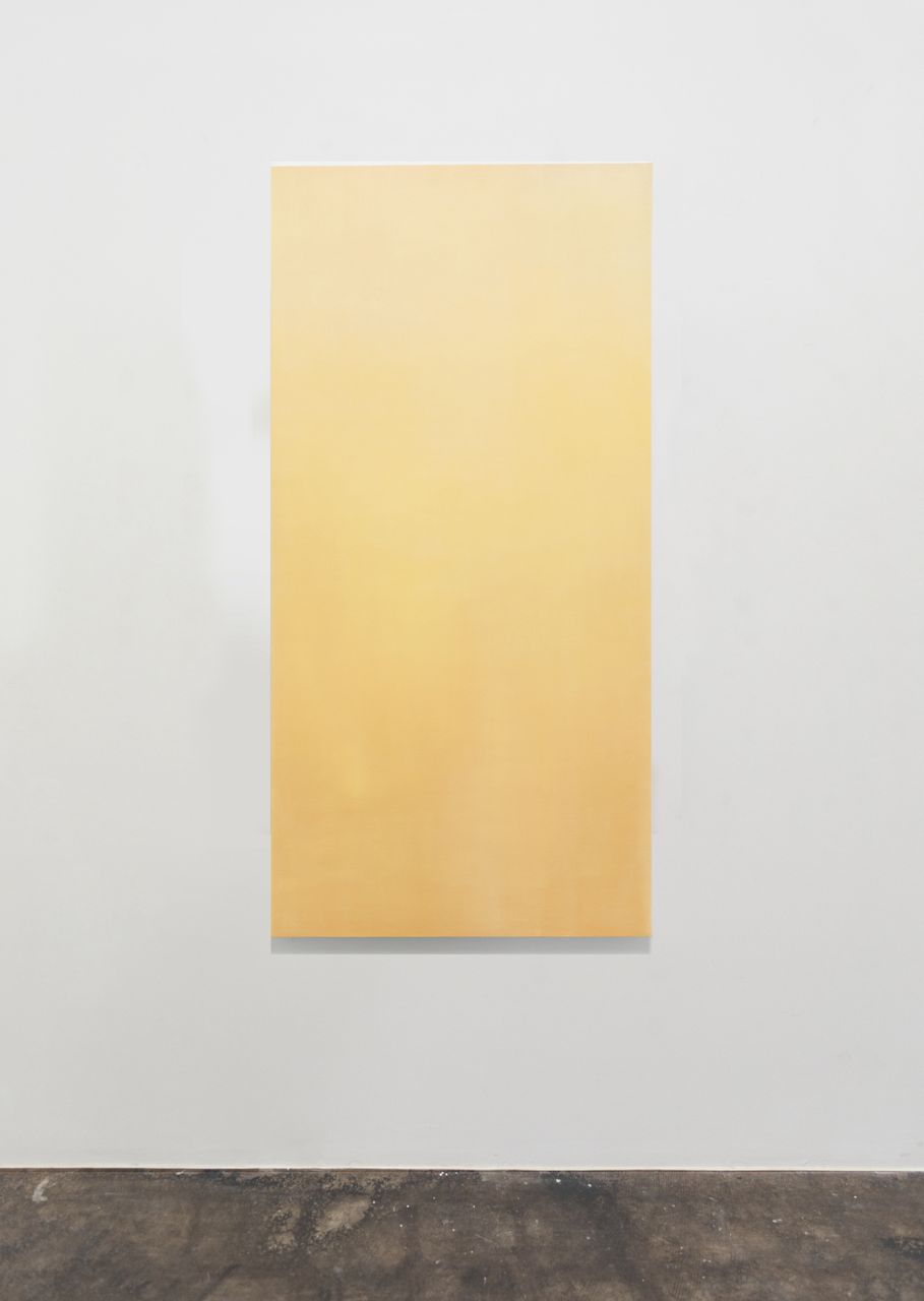 Scatter Light, 2020 | Oil on linen 91.4 x 180.3 cm