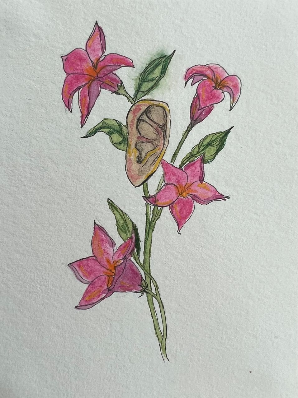 Escuta aqui o Jasmin do Brasil, 2023 | aquarela e caneta sobre papel 10 x 8 cm