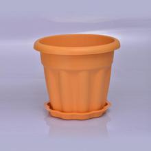 Marigold 10 Inch Plastic Planter