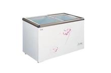 CG 210 Ltr Chest Freezer CG-DF2103FG