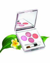 Ecostay  (25, Serene Wonder) Eye Shadow