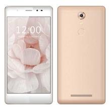 Leagoo T1 (2 GB RAM, 16 GB ROM) 5.0"- Champagne Gold (4G)- Fingerprint