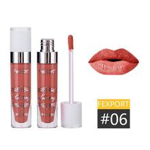 Fexport Cosmetics 12Color Fashion Liquid Matte Lipstick Longlasting Makeup Nude Longwear Lip Gloss for Wholesale Maquiagem F6101