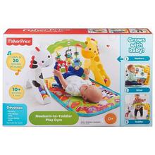 Newborn-to-Toddler Play Gym