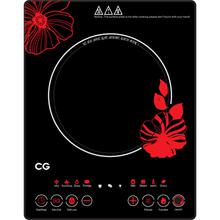 2000W Induction Cooker