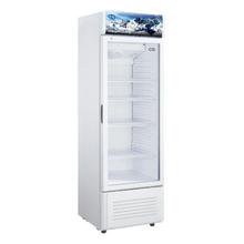 CG 4613SC 460 LTRS SHOWCASE REFRIGERATOR