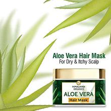 Himalayan Organics- Himalayan Organics Aloevera Hair Mask