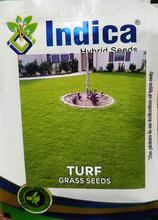 Turf Grass Seeds - Fresh Lawn And Garden Seeds 10 Gram - Seeds |