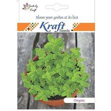 Oregano Herb Seeds by Kraft Seeds