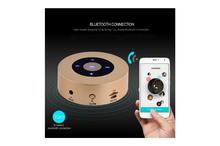 PTron Sonor Bluetooth Speaker New Fashionable Wireless Speaker For All Smartphones (Gold)