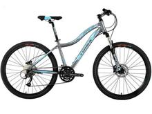 N700 Mountain Bicycle