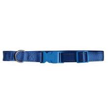 Blue Collar Neck Belt For Dogs