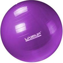 Gym ball LS3221