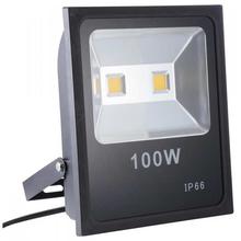 100W Super Bright Outdoor LED Light - Black