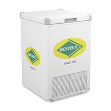 Western 102 Litres Single Door Hard Top Deep Freezer [WHF125H]