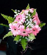 PINK DAISY BOUQUET 25 PCS