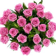 Rose – Pink 25 PCs