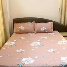 Multicolor Cotton Bedsheet with pillow covers