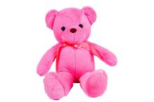 Pink Teddy Bear 45 CM - (No. 58)